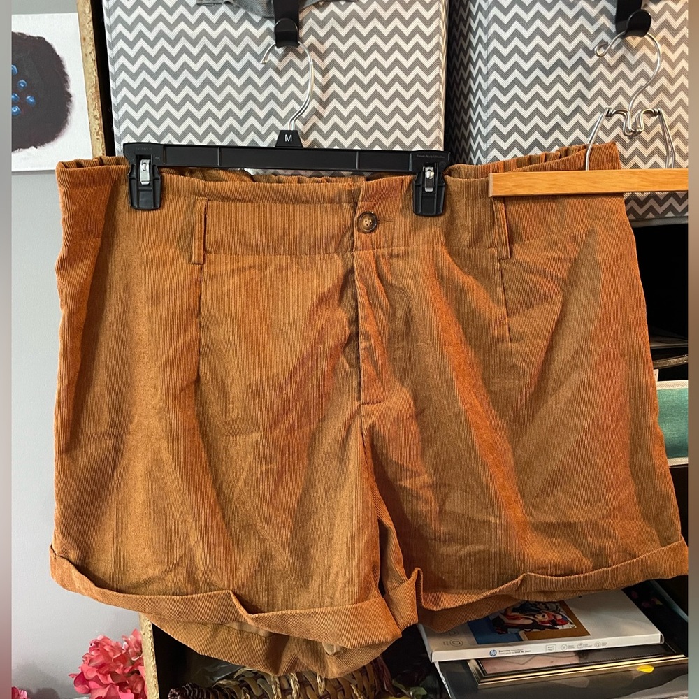 EUC/SHEIN Curve Shorts/Size 4X